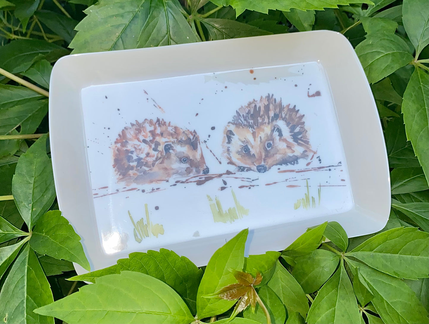 Animal Trays