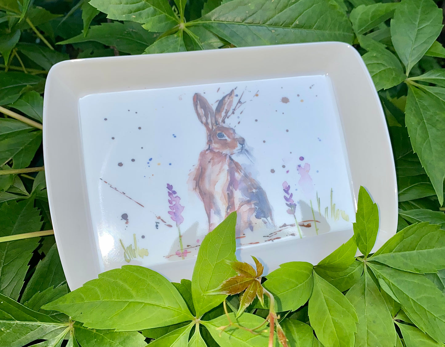 Animal Trays