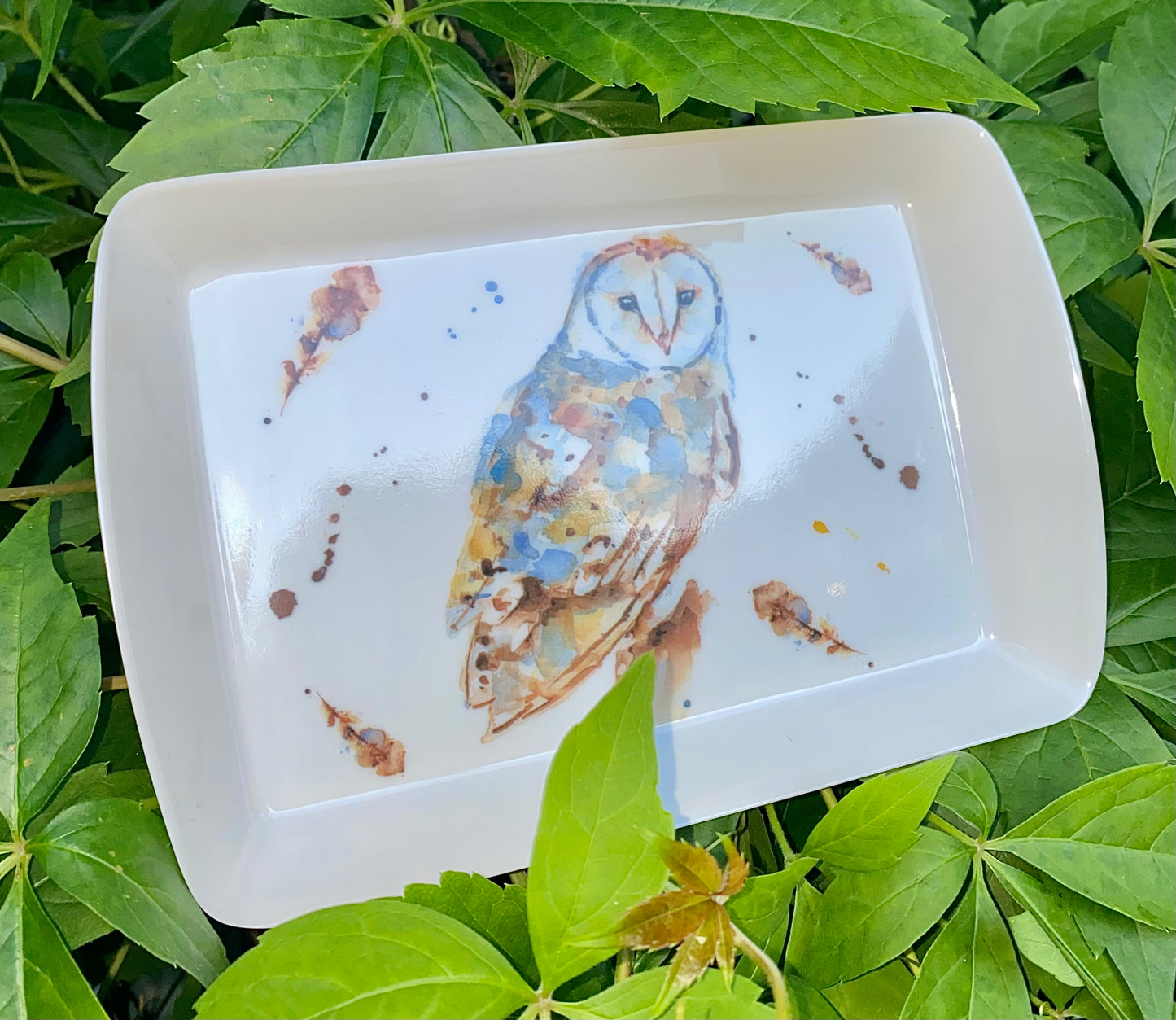 Animal Trays