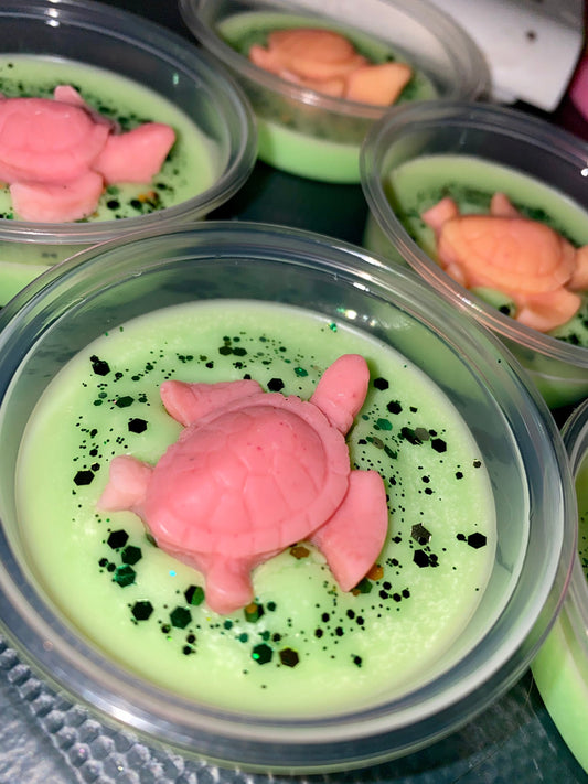 Turtle Wax Melt Pots